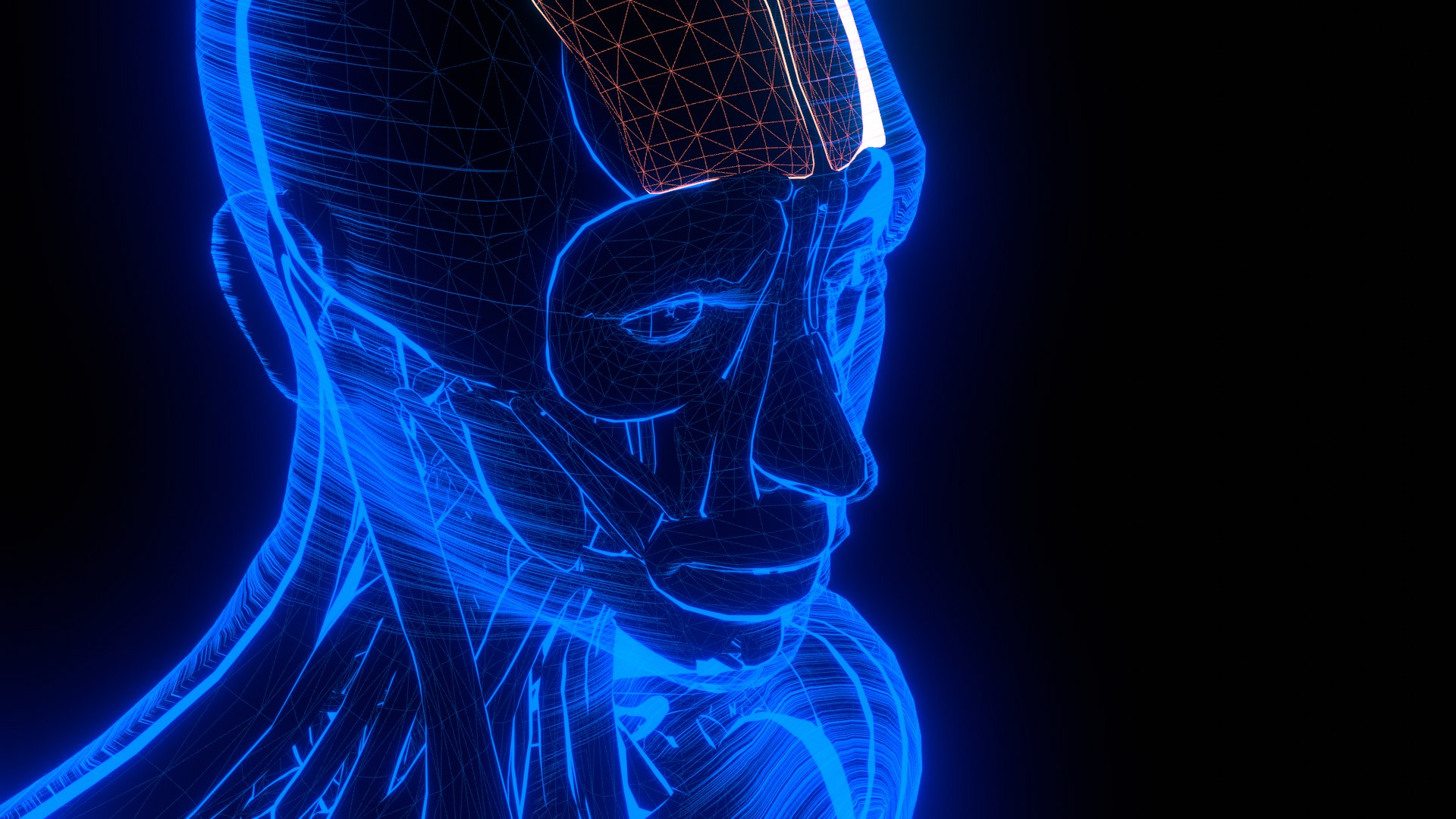 Holographic Human Muscular System - Rigged Anatomy with Animations 3D https://p.turbosquid.com/ts-thumb/mC/BA8q9b/rW/untitled_8_2/png/1722706470/1920x1080/fit_q87/4af28e9f7ccbec3144c402b714e5094a3e41403a/untitled_8_2.jpg