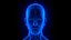 Holographic Human Muscular System - Rigged Anatomy with Animations