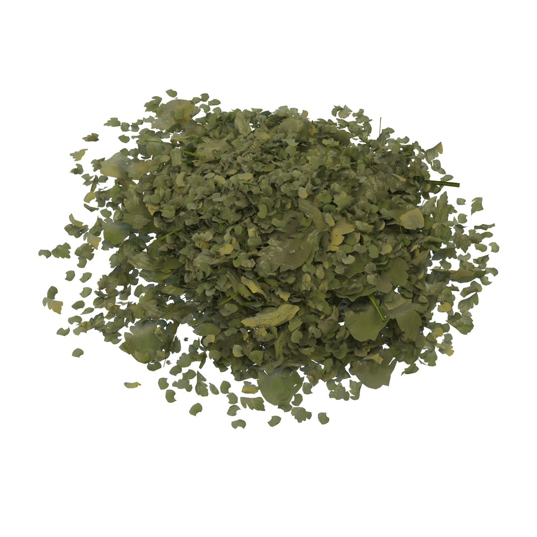 spices white pepper 3d model https://p.turbosquid.com/ts-thumb/mC/KW8wB4/KktgdI9e/chopped_dried_parsley_001_thumbnail_square0000/png/1462375061/1920x1080/fit_q87/a21705dfda06b2bc4c4575b540b72f7b56487eca/chopped_dried_parsley_001_thumbnail_square0000.jpg