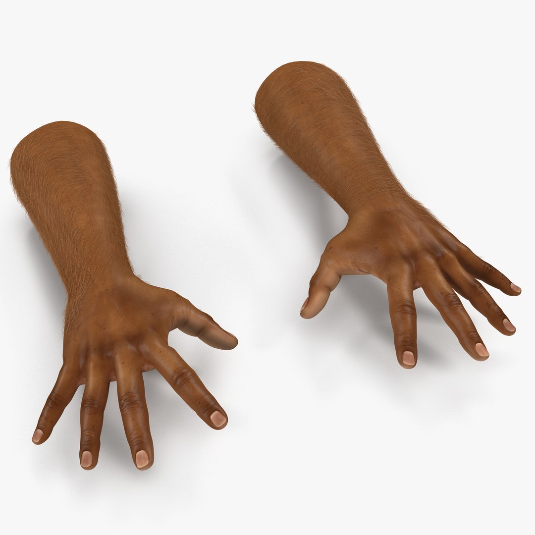 African Man Hands 3 with Fur Pose 4 3D Model 3D model preview