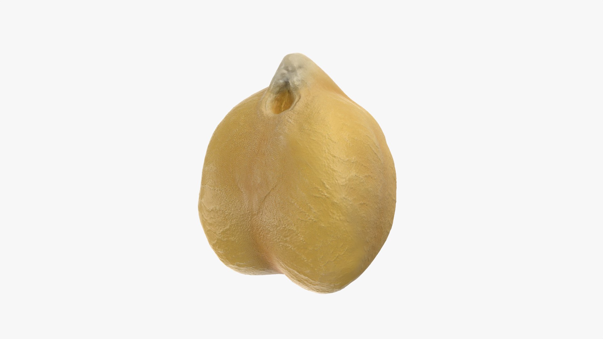 3D Boiled Chickpea model https://p.turbosquid.com/ts-thumb/mC/TDjtAp/Oy/chickpeaboiled_0005/png/1765716275/1920x1080/fit_q87/7d66c720bc8fbfd96739eadbfdcf6873bce72992/chickpeaboiled_0005.jpg