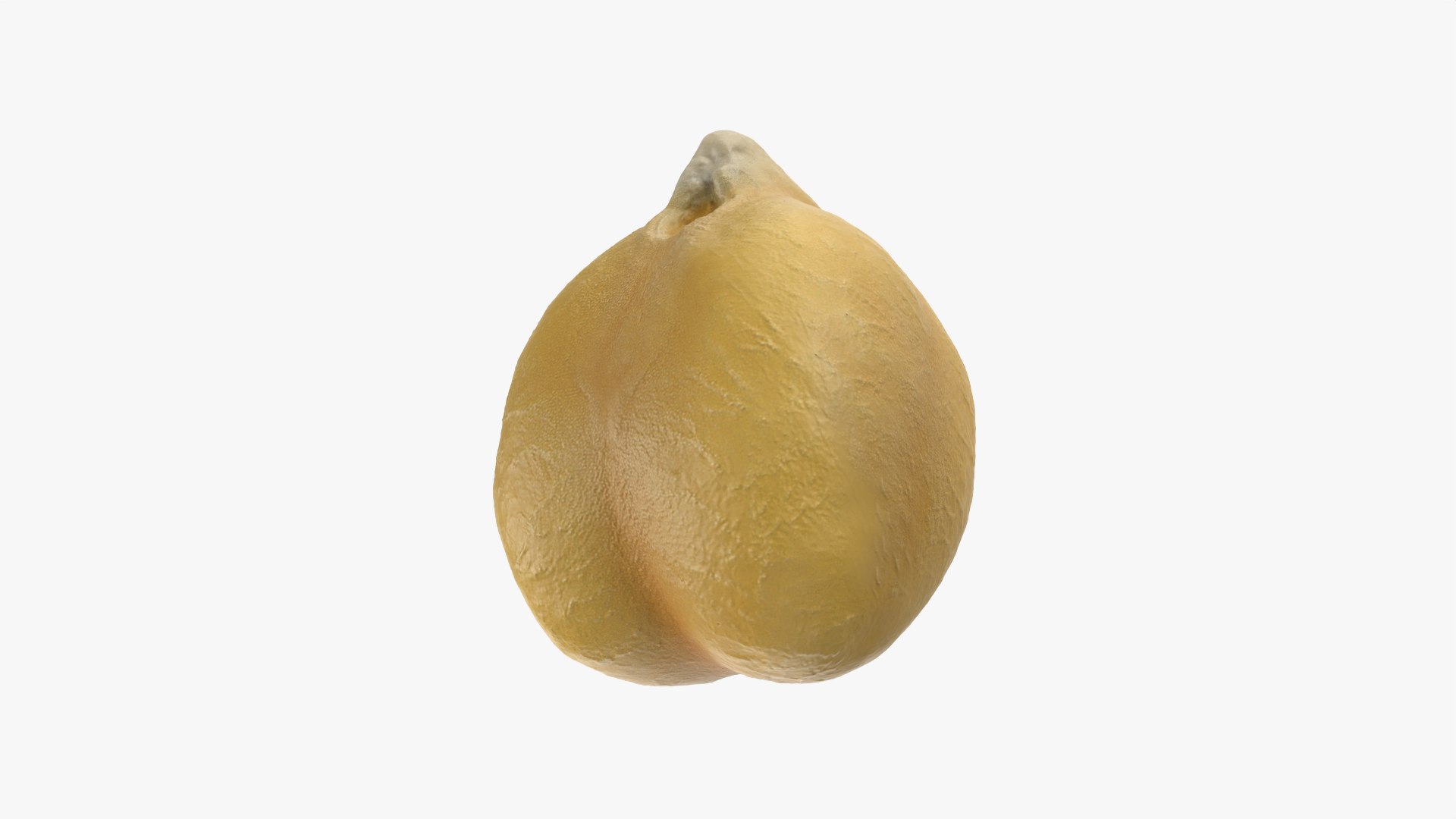 3D Boiled Chickpea model https://p.turbosquid.com/ts-thumb/mC/TDjtAp/gi/chickpeaboiled_0008/png/1765716279/1920x1080/fit_q87/c257115da524187d0b21bac6e1deb375c383b91b/chickpeaboiled_0008.jpg
