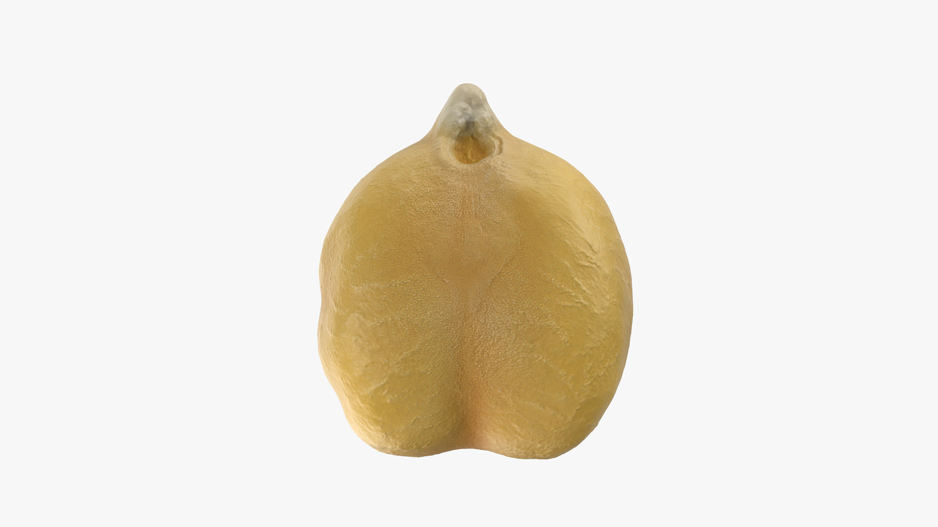 3D Boiled Chickpea model https://p.turbosquid.com/ts-thumb/mC/TDjtAp/kT/chickpeaboiled/png/1765817837/1920x1080/turn_fit_q99/74101107789e362372fa2c9a1a4f4b3e209706d6/chickpeaboiled-1.jpg