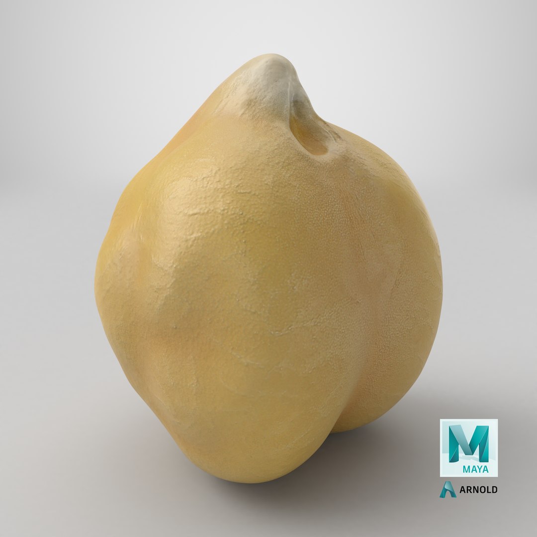3D Boiled Chickpea model https://p.turbosquid.com/ts-thumb/mC/TDjtAp/z9/stemcell_maya_arnold_render/png/1765818482/1920x1080/fit_q87/51b7145a26d9046358f7f32ad93ce29250852f52/stemcell_maya_arnold_render.jpg
