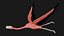 Flying Flamingo aparejado Low Poly