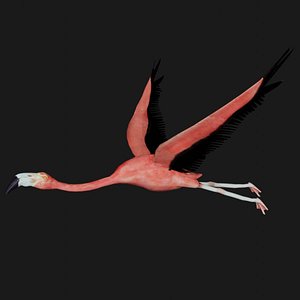 Flying Flamingo Rigged Low Poly