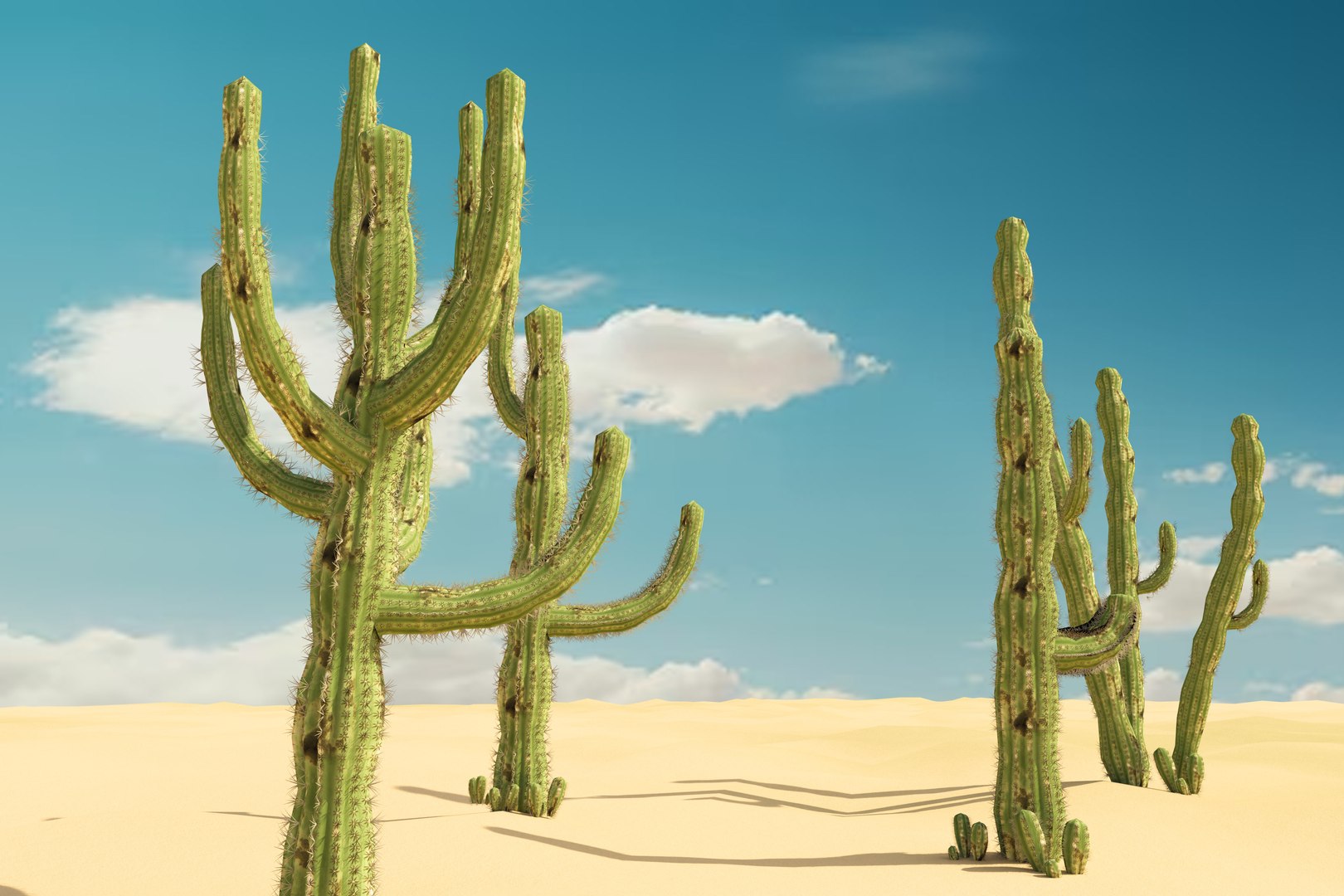5 Cactus low-poly 3D model 3D model https://p.turbosquid.com/ts-thumb/mC/o3ubRP/1s/z02/jpg/1720357568/1920x1080/fit_q87/af37d936c54f7d43d90bf1eb25c15da210c00505/z02.jpg