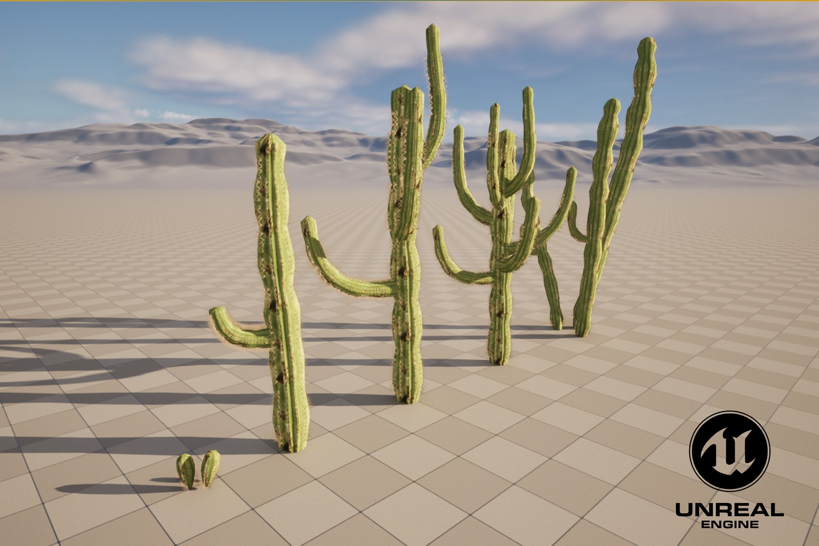 5 Cactus low-poly 3D model 3D model https://p.turbosquid.com/ts-thumb/mC/o3ubRP/4L/10/jpg/1720357575/1920x1080/fit_q87/26ae0cb7084125ff42b96382c920c47ad5c77644/10.jpg