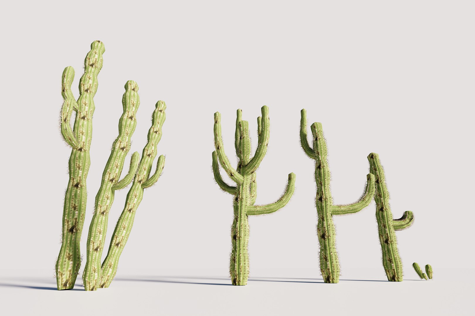 5 Cactus low-poly 3D model 3D model https://p.turbosquid.com/ts-thumb/mC/o3ubRP/QJ/2/jpg/1720357568/1920x1080/fit_q87/5ecdc146a8a52f47b49b377171977ec1fcddc6c0/2.jpg