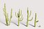5 Cactus low-poly