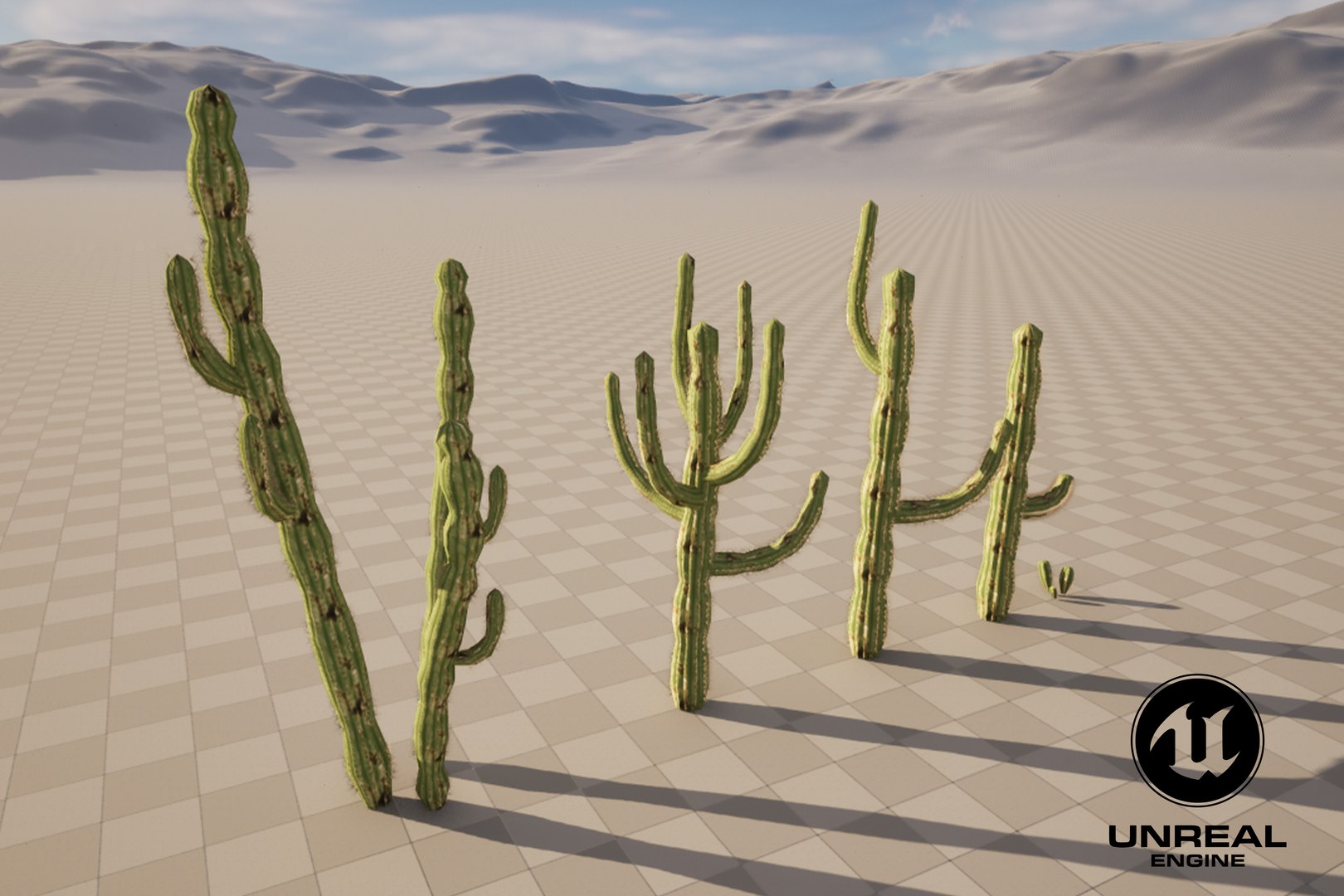 5 Cactus low-poly 3D model 3D model https://p.turbosquid.com/ts-thumb/mC/o3ubRP/Zs/8/jpg/1720357574/1920x1080/fit_q87/16448fddd17cab1217da35d8a6295af1e845abab/8.jpg