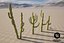 5 Cactus low-poly