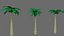 vegetation