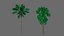 vegetation