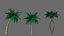vegetation