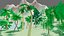 vegetation