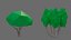 vegetation