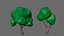 vegetation