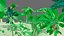 vegetation