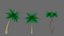 vegetation