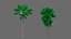 vegetation
