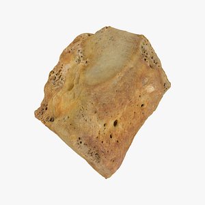 Real Cuneifrom Bone Intermediate 01 RAW SCAN