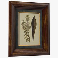 Picture Frame Dark Wood with Gold