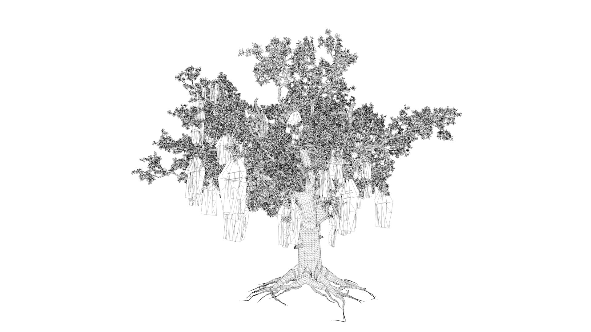 3D Live Oak Tree - 07 - - TurboSquid 2376798