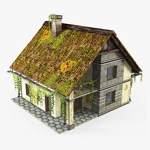 abandoned cottage 3D