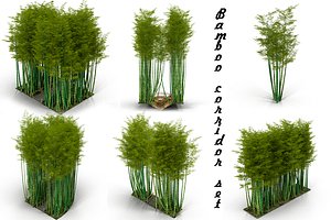 bamboo corridor set 3D model
