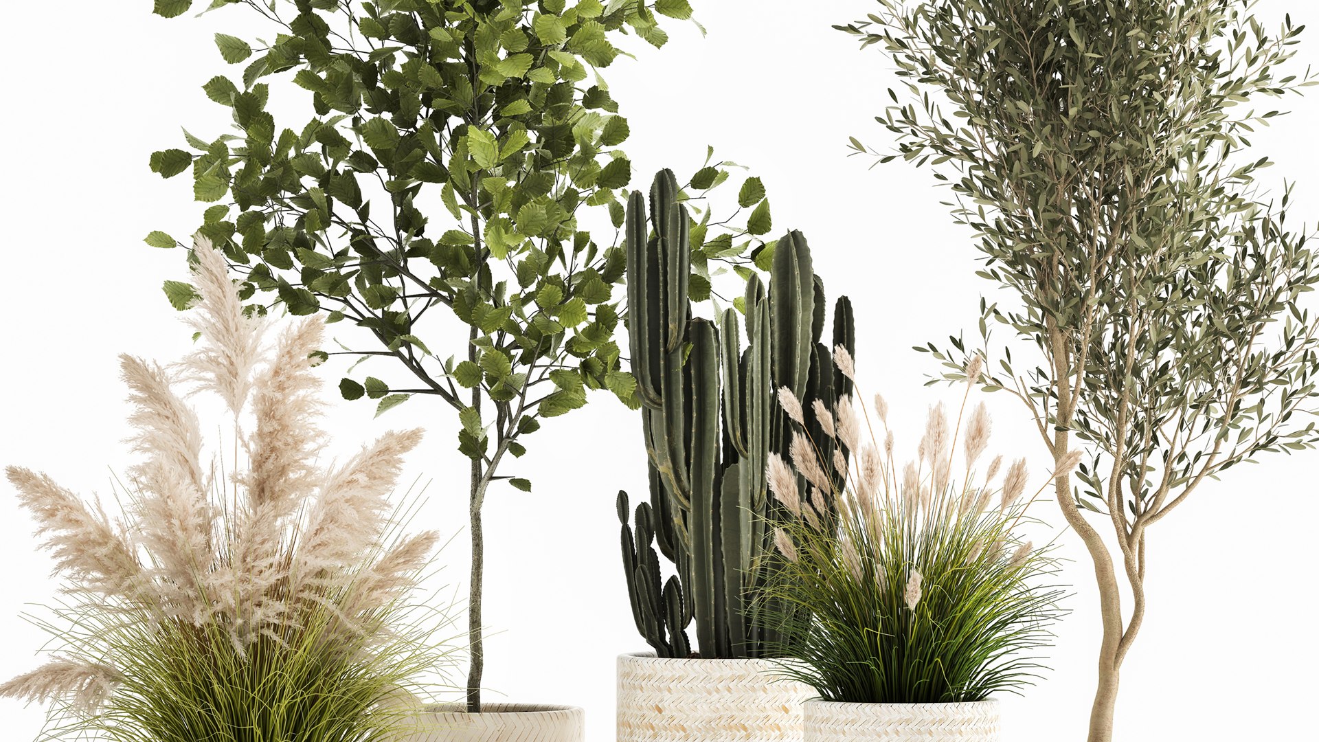 3D Ornamental plants in rattan baskets 1035 model https://p.turbosquid.com/ts-thumb/mD/JKBTIC/5C/1plants2708202103/jpg/1630146832/1920x1080/fit_q87/15ca7838007429dbf76e8abce38e27f4a79067e6/1plants2708202103.jpg