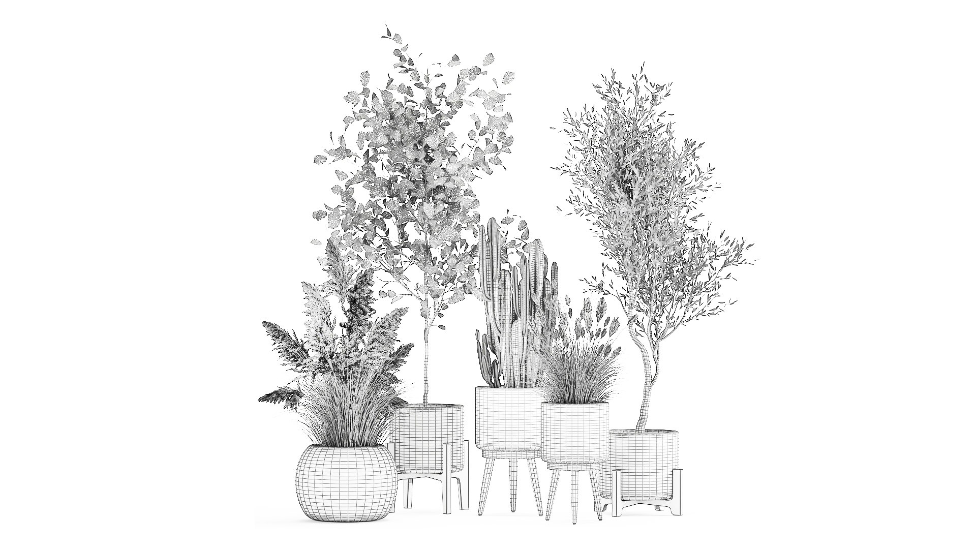 3D Ornamental plants in rattan baskets 1035 model https://p.turbosquid.com/ts-thumb/mD/JKBTIC/5a/1plants2708202109/jpg/1630146831/1920x1080/fit_q87/8042f26f8a8bbcfbd5b2c3039d7be5242806e6c9/1plants2708202109.jpg