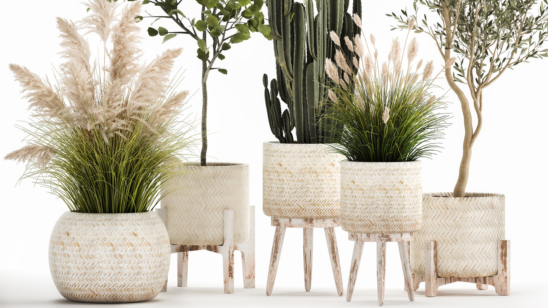 3D Ornamental plants in rattan baskets 1035 model https://p.turbosquid.com/ts-thumb/mD/JKBTIC/A7/1plants2708202104/jpg/1630146834/1920x1080/fit_q87/53b2fa1e6a11ec818613034a481be030188e59c1/1plants2708202104.jpg
