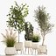3D Ornamental plants in rattan baskets 1035 model