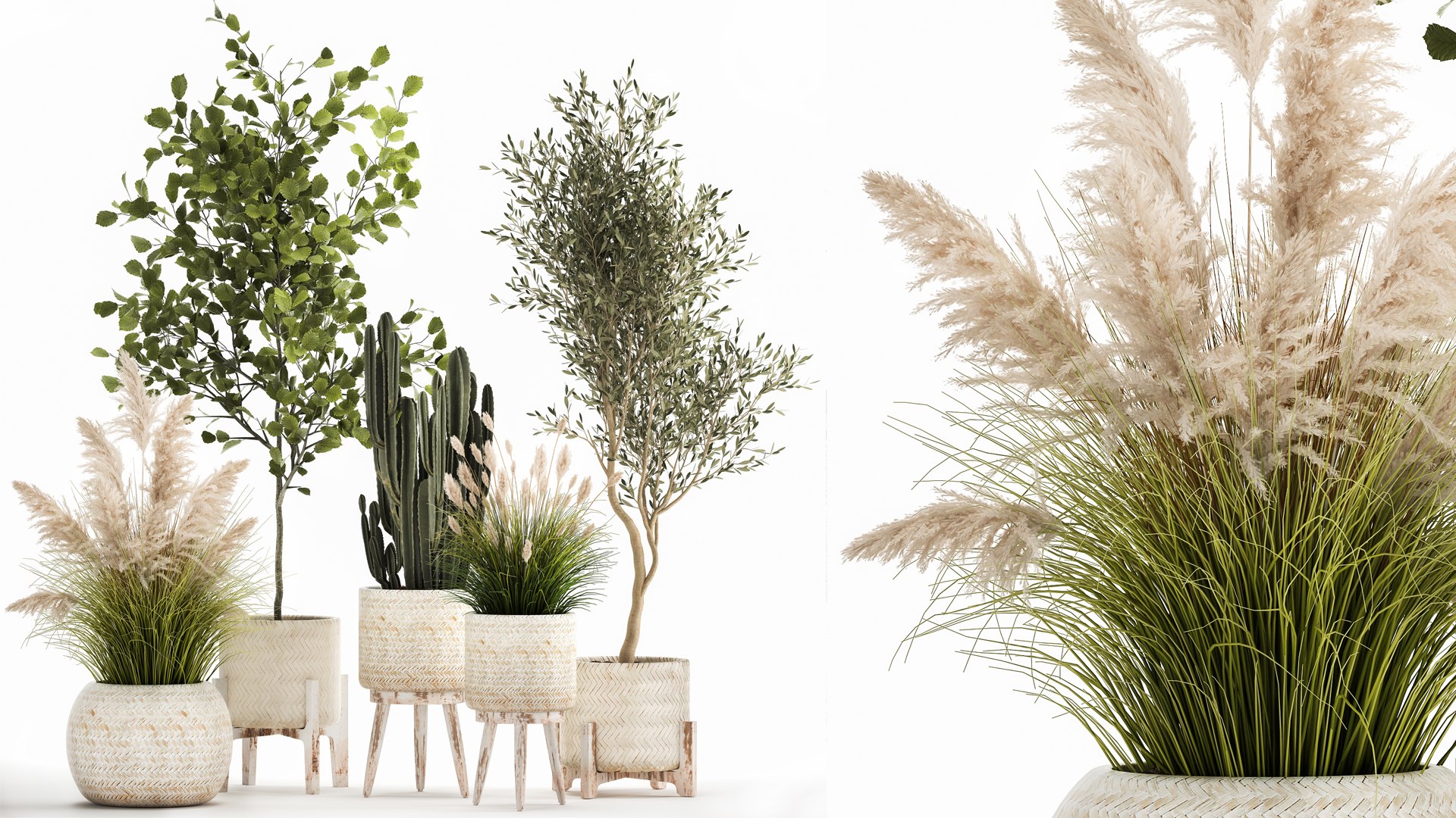 3D Ornamental plants in rattan baskets 1035 model https://p.turbosquid.com/ts-thumb/mD/JKBTIC/HQ/1plants2708202101/jpg/1630146832/1920x1080/fit_q87/f68ec6a12bfd8ff456567daa0e8f3b6964614a73/1plants2708202101.jpg