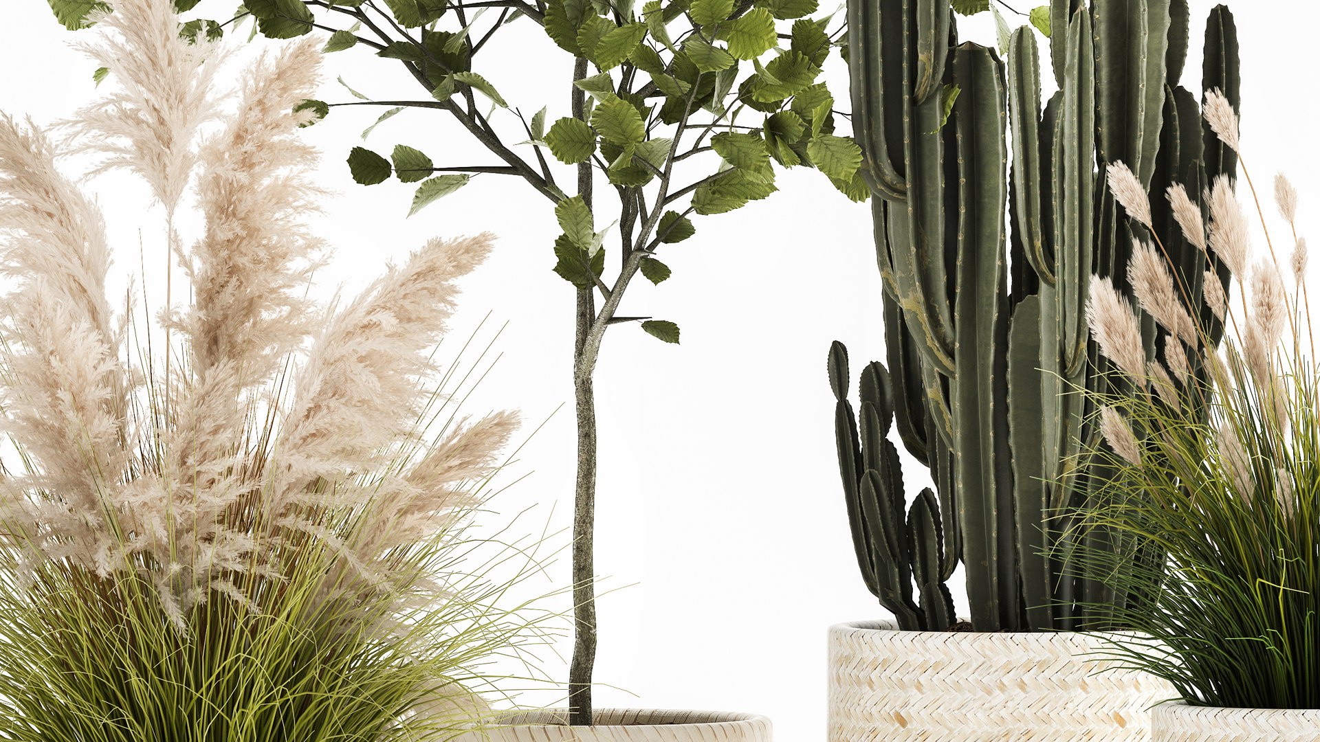 3D Ornamental plants in rattan baskets 1035 model https://p.turbosquid.com/ts-thumb/mD/JKBTIC/Io/1plants2708202106/jpg/1630146833/1920x1080/fit_q87/4462efeeaae53b50ff8a2ab63591265e9e0669d4/1plants2708202106.jpg