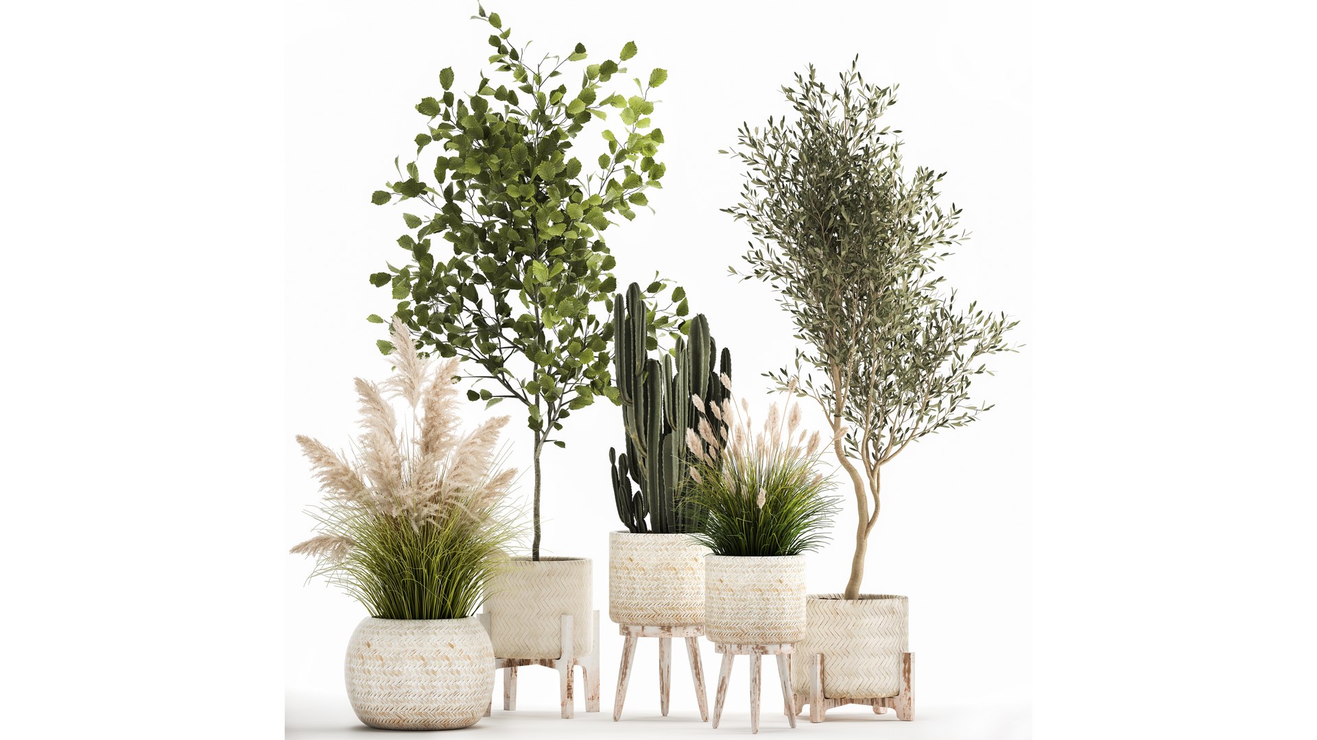 3D Ornamental plants in rattan baskets 1035 model https://p.turbosquid.com/ts-thumb/mD/JKBTIC/MP/1plants2708202102/jpg/1630146831/1920x1080/fit_q87/0df0a2dfc141dc6182bb079dcf11d85e8e4f5568/1plants2708202102.jpg