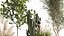 Plantes ornementales dans des paniers en rotin 1035