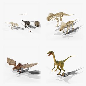 Dinosaurs and Dragon Bundle - T-Rex Triceratops Raptor Brachiosaurus and Skeletons PBR