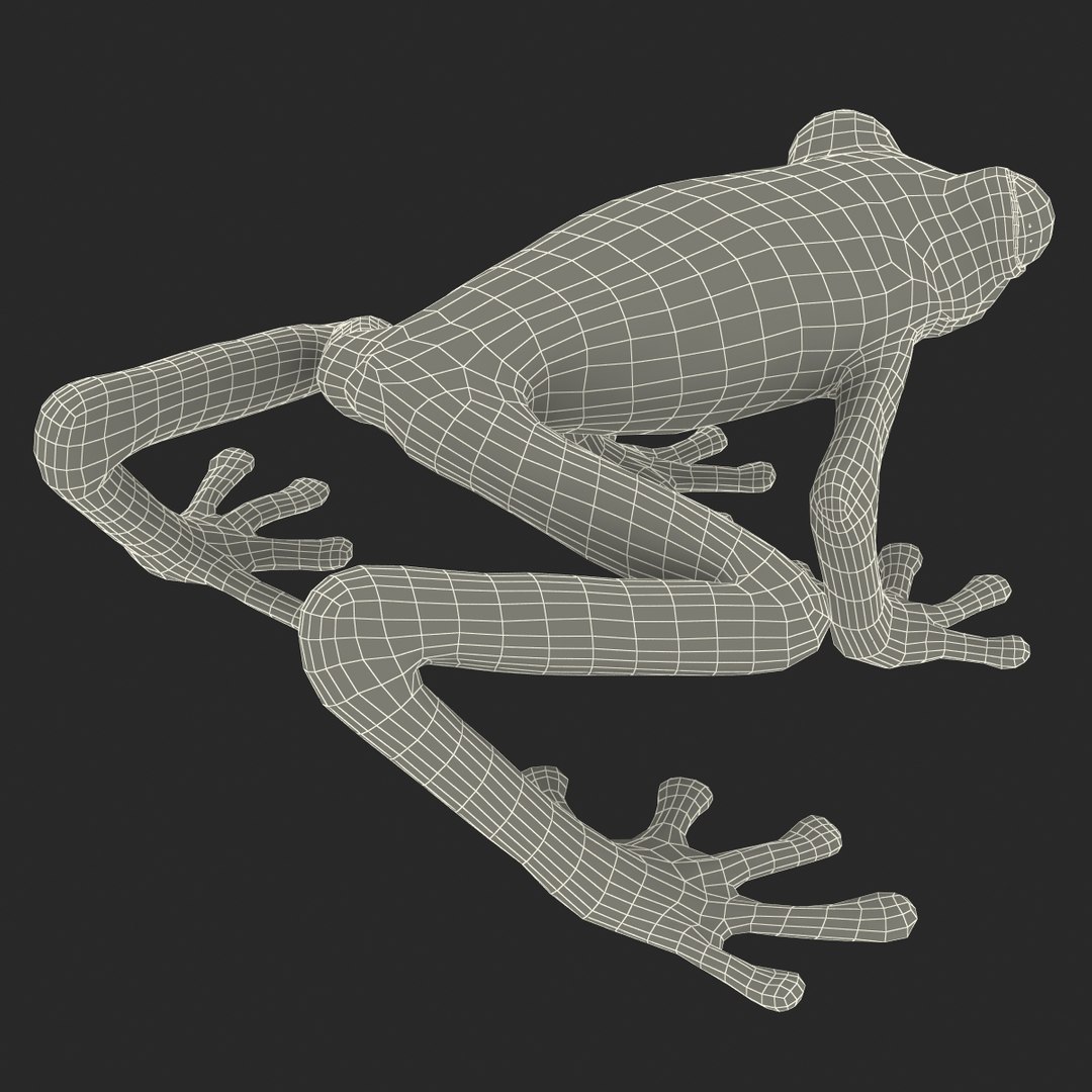 3d model red eyed tree frog https://p.turbosquid.com/ts-thumb/mD/KXpxoY/G15aHKbc/redeyedtreefrogrigged3dmodel38/jpg/1451378668/1920x1080/fit_q87/ead1740809019fbabae5ce6d7e67002efc3cab95/redeyedtreefrogrigged3dmodel38.jpg
