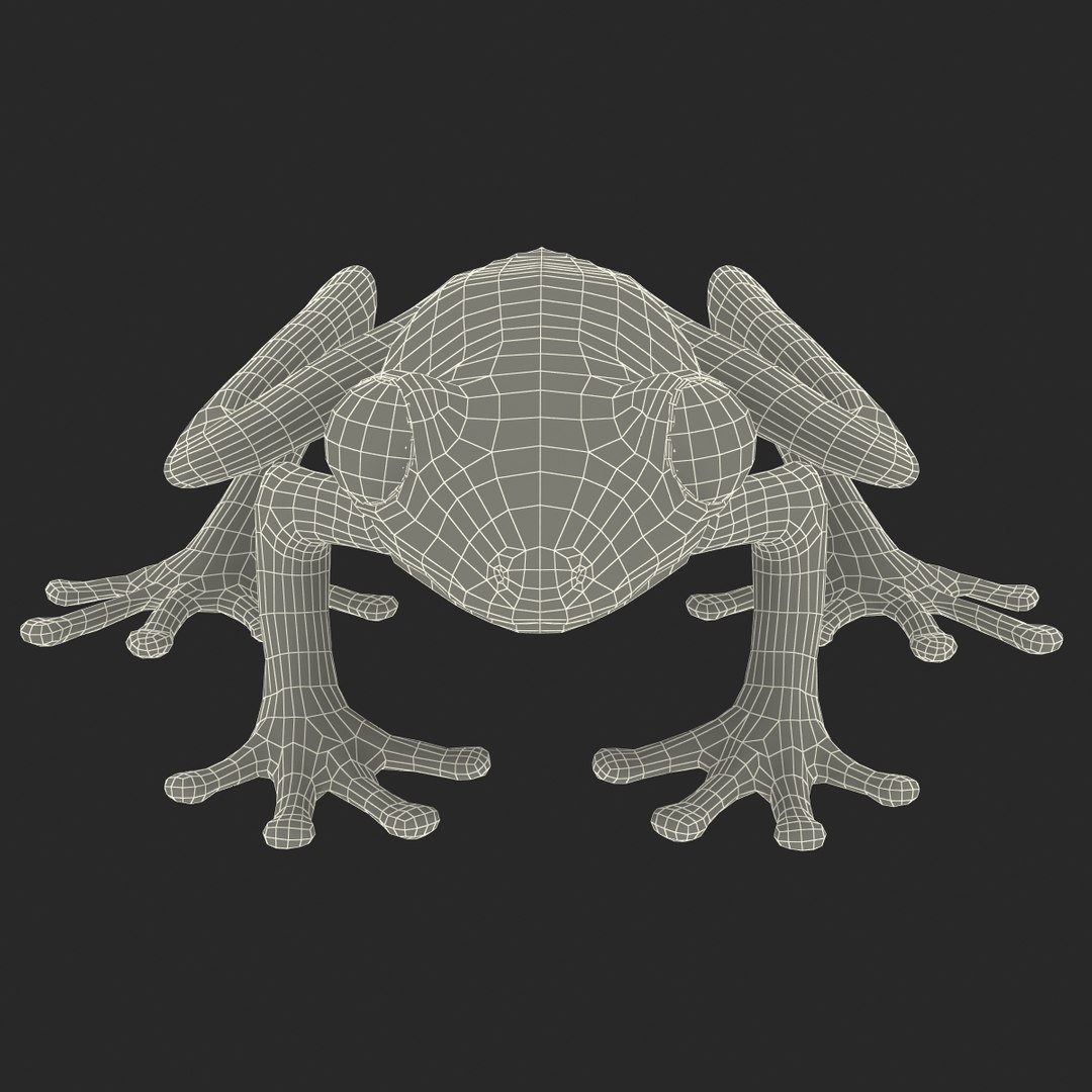 3d model red eyed tree frog https://p.turbosquid.com/ts-thumb/mD/KXpxoY/Lfe8DK4Q/redeyedtreefrogrigged3dmodel44/jpg/1451378669/1920x1080/fit_q87/ef8d8f21a9b61da8febd186a11345829cd924bb3/redeyedtreefrogrigged3dmodel44.jpg