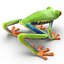 Rotaugenlaubfrosch manipuliert