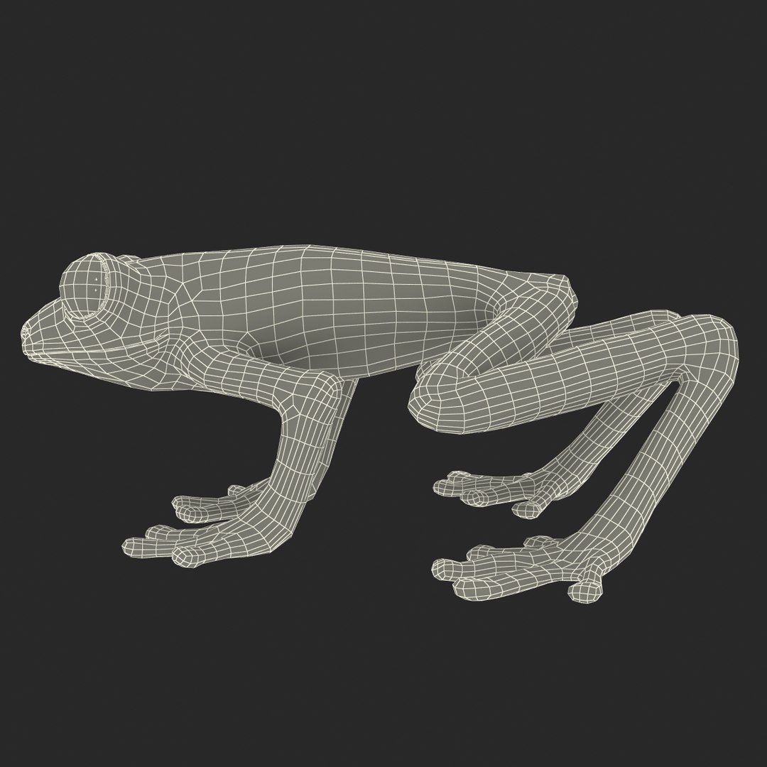 3d model red eyed tree frog https://p.turbosquid.com/ts-thumb/mD/KXpxoY/QlX4fpCr/redeyedtreefrogrigged3dmodel36/jpg/1451378668/1920x1080/fit_q87/568ae2b34d4dc2f6c9d6ca373e2eacdb1a8c5bcf/redeyedtreefrogrigged3dmodel36.jpg