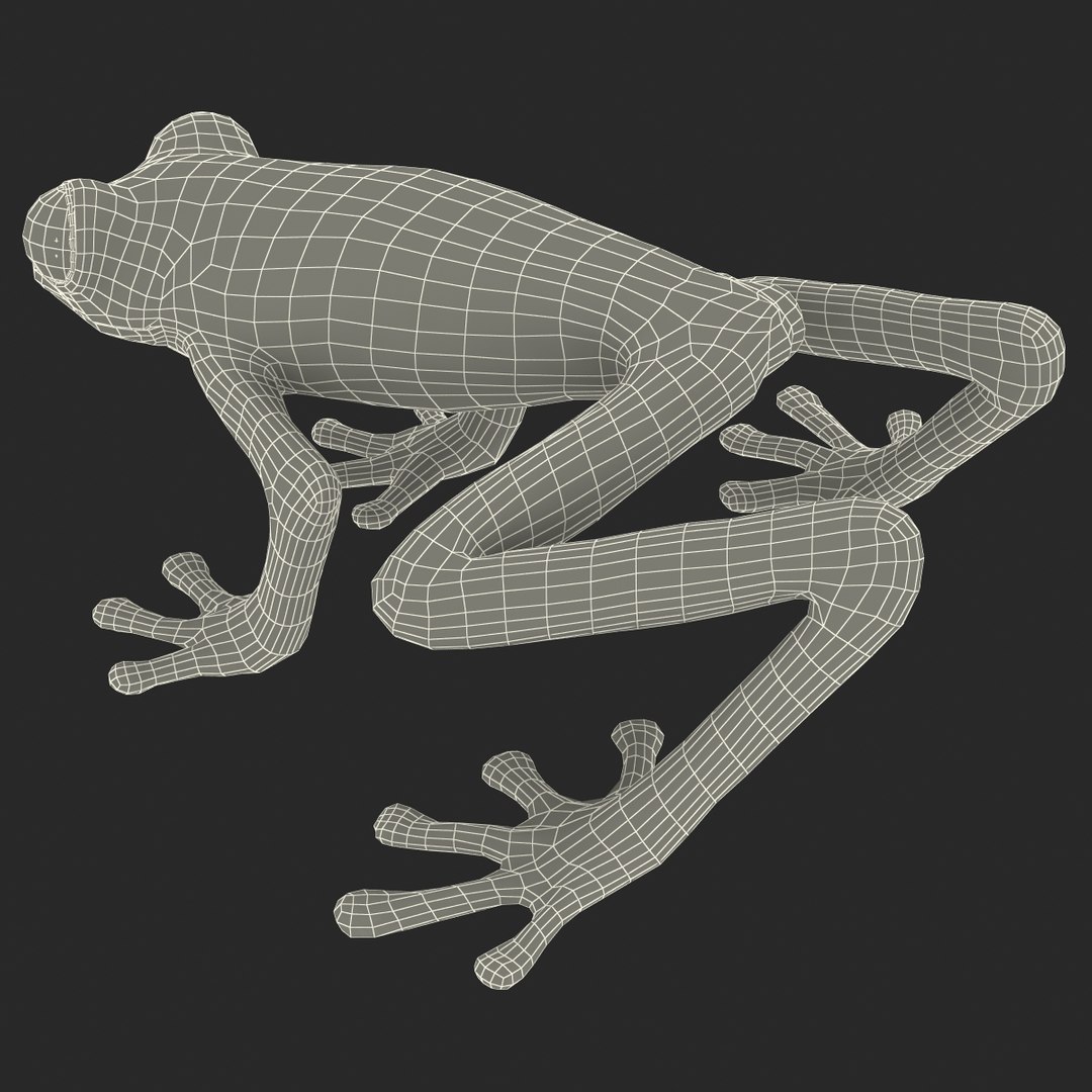 3d model red eyed tree frog https://p.turbosquid.com/ts-thumb/mD/KXpxoY/WJBbSunh/redeyedtreefrogrigged3dmodel39/jpg/1451378668/1920x1080/fit_q87/679587d83ca1fd30b90e1a4483fba27b0867d612/redeyedtreefrogrigged3dmodel39.jpg
