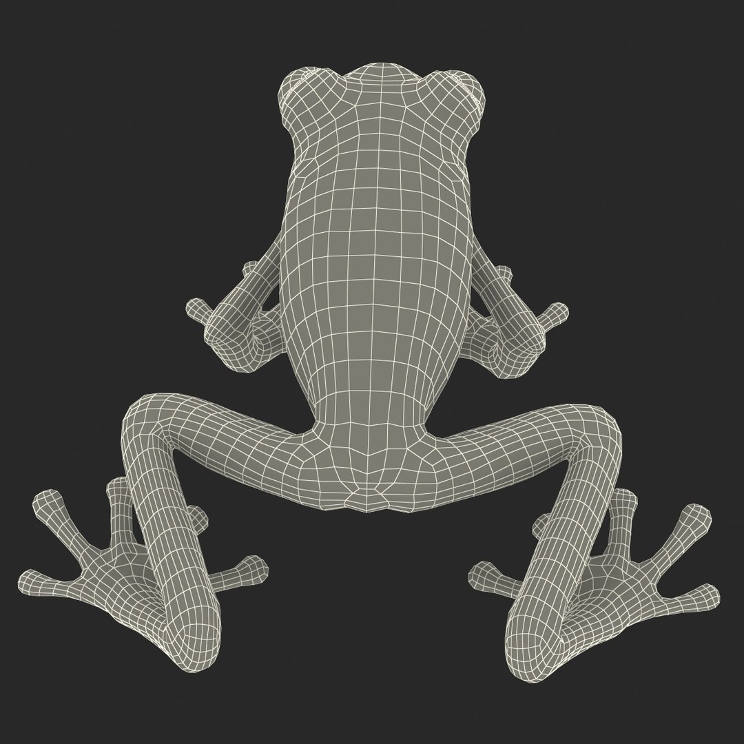 3d model red eyed tree frog https://p.turbosquid.com/ts-thumb/mD/KXpxoY/Wm794Oua/redeyedtreefrogrigged3dmodel40/jpg/1451378668/1920x1080/fit_q87/47185a0a0efe2a905512318ed1e8088dd85aaea3/redeyedtreefrogrigged3dmodel40.jpg