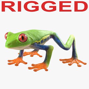 3d model red eyed tree frog