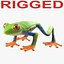 Rotaugenlaubfrosch manipuliert
