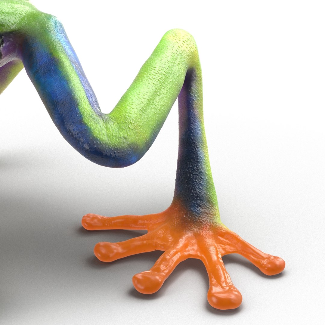 3d model red eyed tree frog https://p.turbosquid.com/ts-thumb/mD/KXpxoY/uAPr2Drv/redeyedtreefrogrigged3dmodel21/jpg/1451378666/1920x1080/fit_q87/221f2a9e9980aaf6e419ce291549f5e3d56cd9b7/redeyedtreefrogrigged3dmodel21.jpg