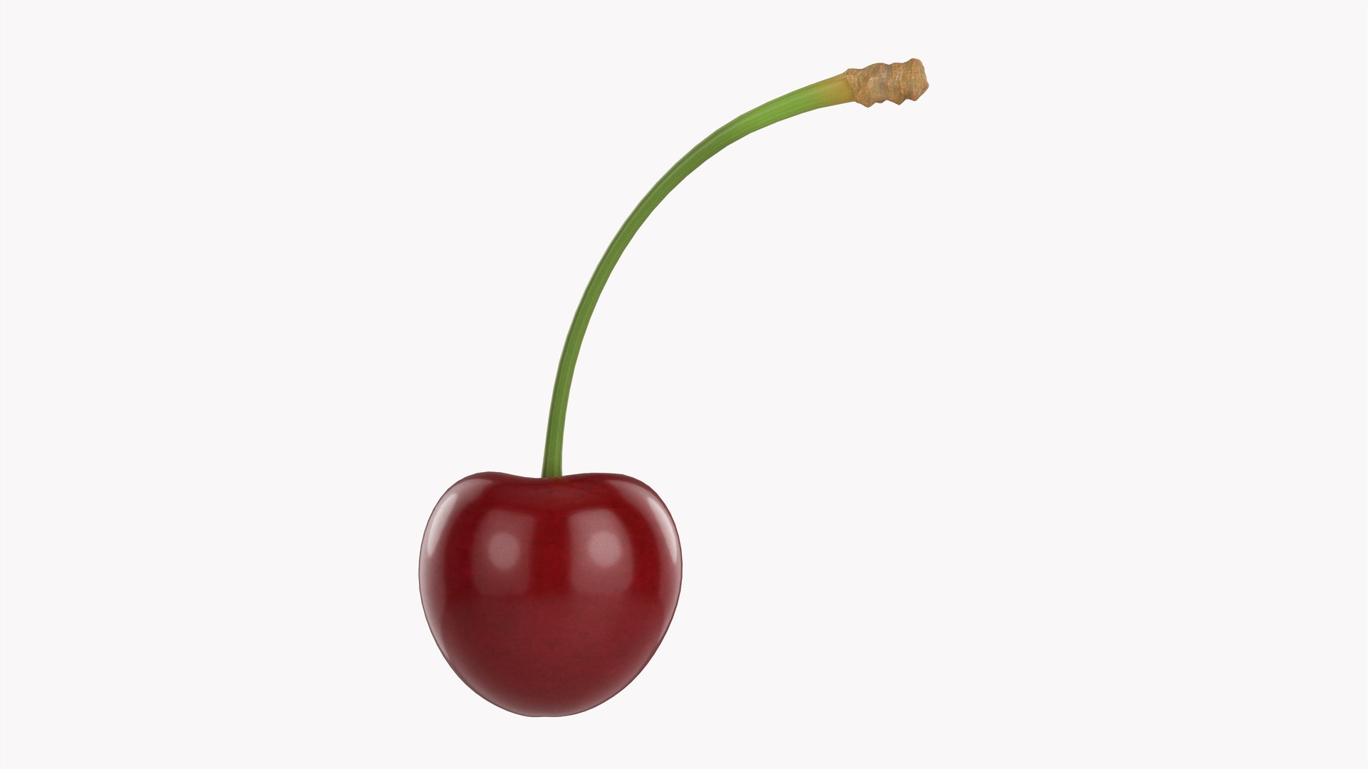 Cherry single model https://p.turbosquid.com/ts-thumb/mD/dISXPb/CK/005/jpg/1633014213/1920x1080/fit_q87/6b8549aee563e107a809aedae47edebe9df77880/005.jpg