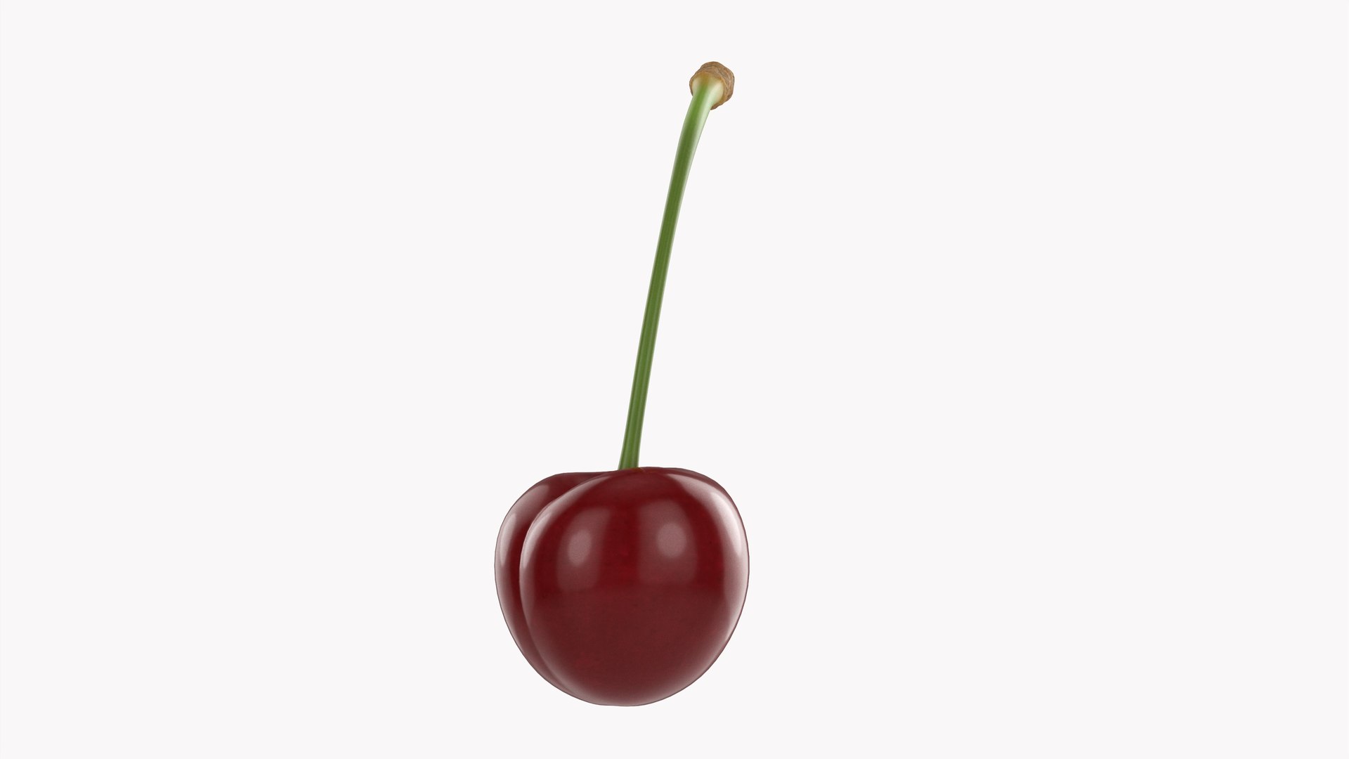 Cherry single model https://p.turbosquid.com/ts-thumb/mD/dISXPb/O7/006/jpg/1633014214/1920x1080/fit_q87/6f97effff7064dbc34a043b219b07b0412559b29/006.jpg